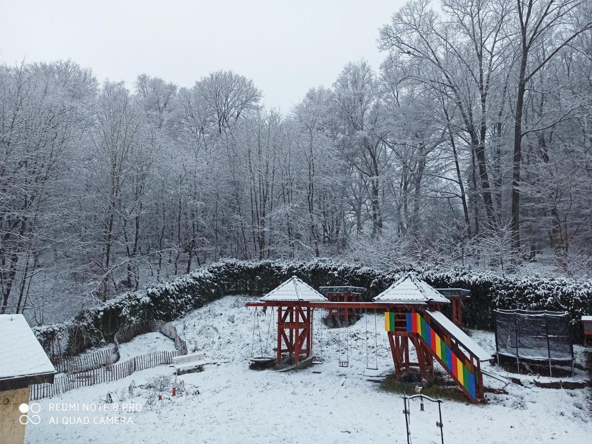 Pension Waldsauna Arnsberg Extérieur photo